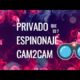 WHAT IS PRIVATE SPYING AND CAM2CAM CHATURBATE, STRIPCHAT, CAM4 ETC.

