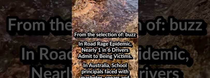 1/6 Victim of road rage. Classroom violence in Australia. Texas Sue Chaturbate, xHamster Age Verification

