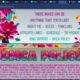 Chaturbate Bright Flowers Themed Bio

